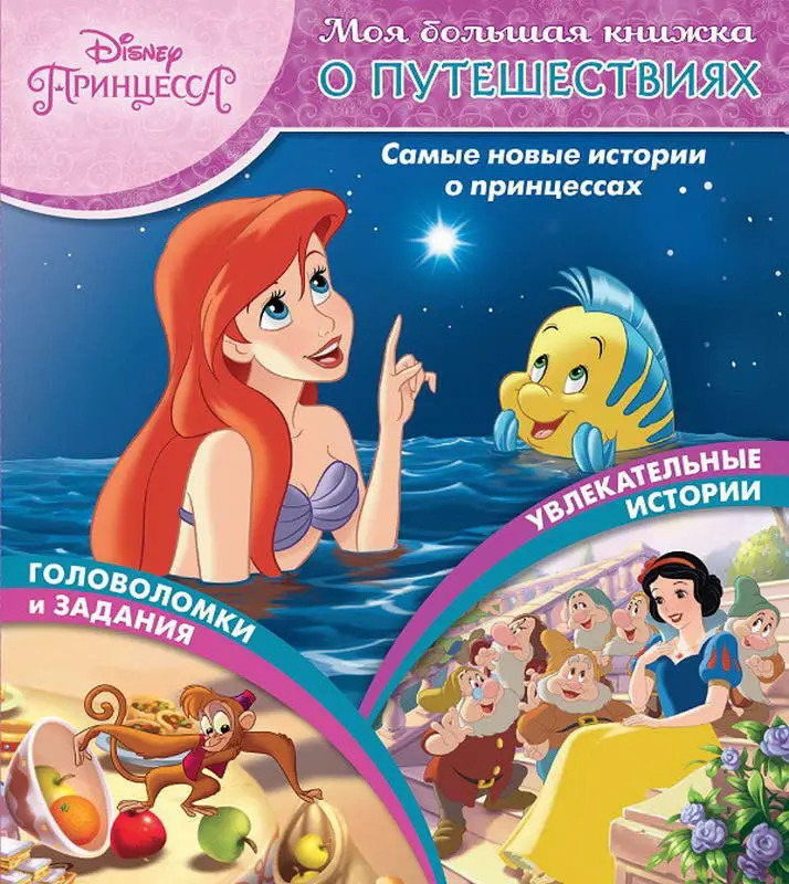 Большая книга принцесс. Книги о приключениях принцесс для детей. Книга принцесса. Книга с принцессами Диснея. Детская книга про принцесс.